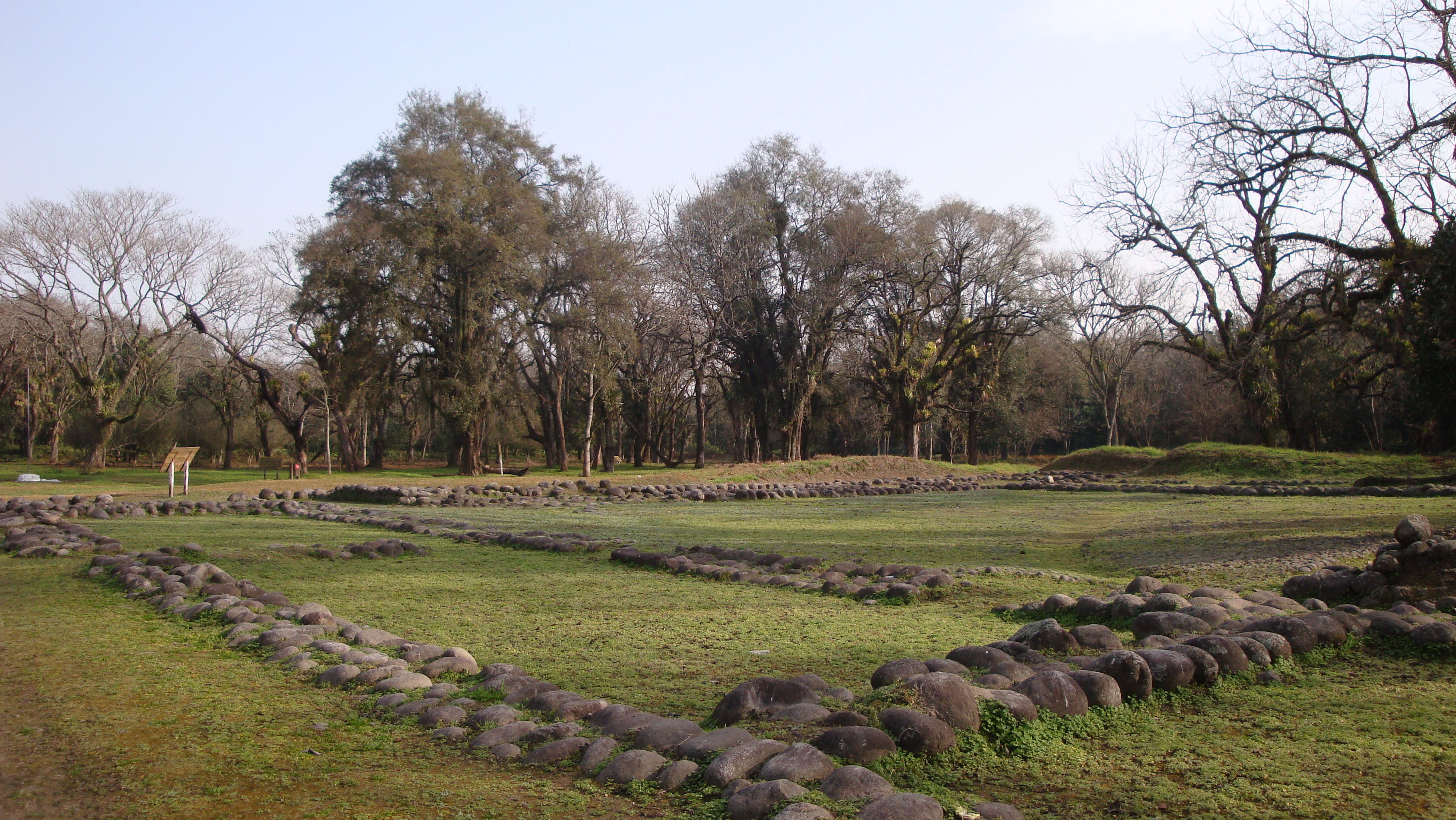 bosque en santa fe